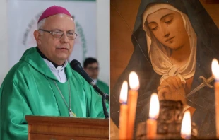 Mons. Celestino Ocampos, Obispo de Carapeguá (Paraguay) | Virgen María. Crédito: Conferencia Episcopal Paraguaya / Shutterstock