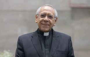 P. Mario Ángel Flores Ramos. Crédito: María Langarica / Desde la Fe.