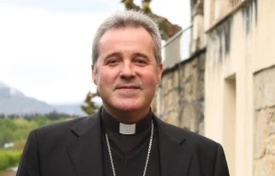 Mons. Mario Iceta, Arzobispo de Burgos (España) y Comisario Pontificio. Crédito: Archidiócesis de Burgos.