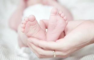 Imagen referencial. Cru00e9dito: Pexels 