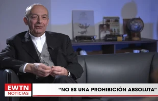 Mons. Maurizio Gronchi, experto consultor del Vaticano. Crédito: EWTN Noticias.