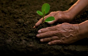 Imagen referencial. Crédito: Shutterstock