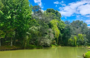 Imagen referencial. Crédito: Eduardo Berdejo.