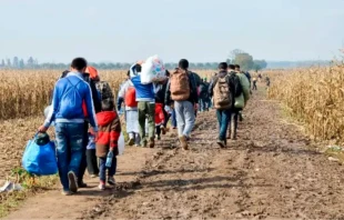 Imagen referencial. Crédito: Shutterstock