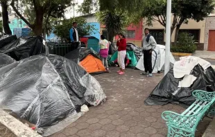 Migrantes viviendo en un parque al norte de la Ciudad de México. Crédito: Pastoral de Movilidad Humana Arquidiócesis Primada de México