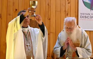 Misa por la paz en la comunidad luego del robo al párroco de 94 años Crédito: Diócesis de Osorno