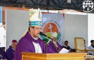 Mons. Pedro Collar Crédito: Basílica de Nuestra Señora de los Milagros de Caacupé