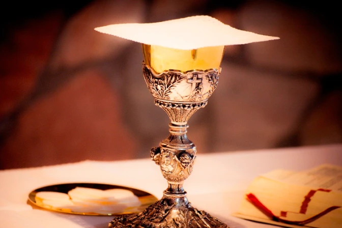 Santuario de la Virgen María en India reunirá fieles por Día Mundial del Enfermo