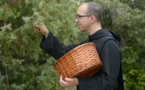 Monje recoge enebro de los bosques que rodean el Monasterio de Leyre, en Navarra