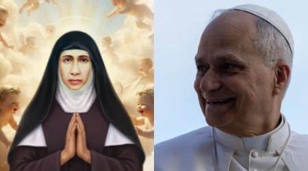 La ceremonia de beatificación se celebró en la plaza frente a la Basílica-Santuario de Nuestra Señora del Rescate, en Vallarpadam, ciudad de Kochi, en el estado indio de Kerala,