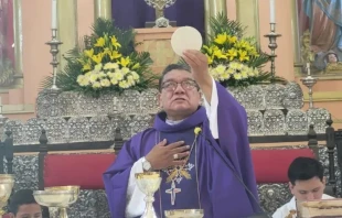 Mons. Aurelio Pesoa Crédito: Conferencia Episcopal Boliviana