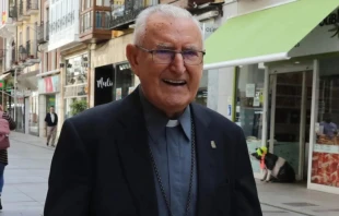 Mons. Nicolás Castellanos Crédito: CELAM