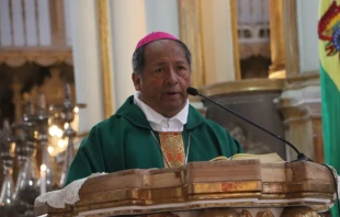 Mons. Ricardo Centellas Crédito: Conferencia Episcopal Boliviana (CEB)
