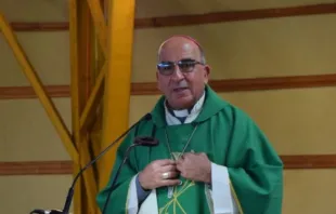 Mons. Fernando Chomali Crédito: Iglesia de Concepción