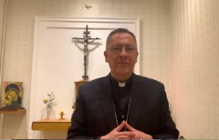 Mons. Godoy Labraña Crédito: Conferencia Episcopal de Chile