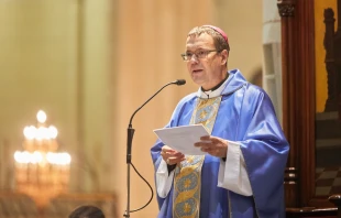 Mons. Jesús Vidal, Obispo de Segovia (España). Crédito: Archidiócesis de Madrid.