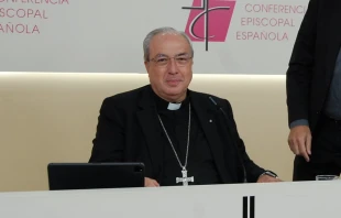 El secretario general de la Conferencia Episcopal Española, Mons. Francisco César García Magán. Crédito: CEE.