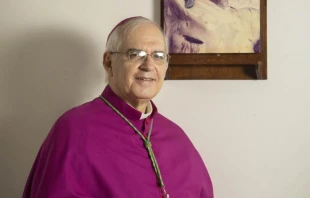 Mons. Mario Moronta, obispo emérito de Los Teques y San Cristóbal. Crédito: Diócesis de San Cristóbal.