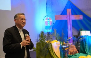 Mons. René Rebolledo Salinas Crédito: Conferencia Episcopal de Chile