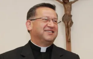 Mons. René Rebolledo Crédito: Conferencia Episcopal de Chile