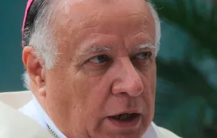 Mons. Ulises Gutiérrez, Arzobispo de Ciudad Bolívar y segundo vicepresidente de la CEV Crédito: CEV
