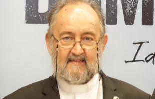 Mons. Juan José Aguirre, Obispo de Bangassou (República Centroafricana). Crédito: OMP España.
