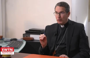 Mons. Luis Manuel Alí Herrera. Crédito: EWTN Noticias