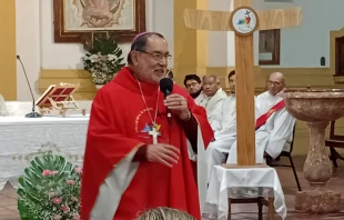 Mons. Oscar Eduardo Miñarro Crédito: Vida Diocesana Merlo-Moreno