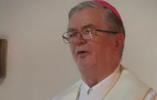 Mons. Carlos Stetter, Obispo emérito de San Ignacio de Velasco, Bolivia. Crédito: Cortesía de la Diócesis San Ignacio de Velasco.