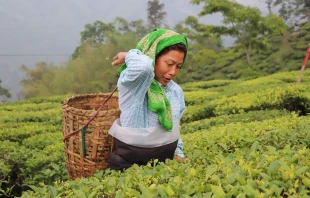 Imagen referencial de una mujer dedicada a la agricultura. Crédito: Pixabay.