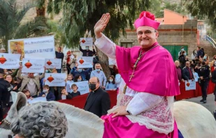 Mons. José Ignacio Munilla, Obispo de Orihuela-Alicante (España). Crédito: José Ignacio Munilla Aguirre.