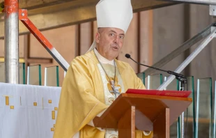 Mons. Juan María Huerta Muro. Crédito: Insigne y Nacional Basílica de Santa María de Guadalupe