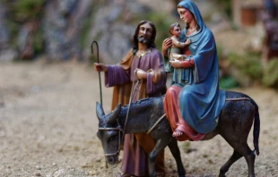 Imagen referencial. Cru00e9dito: Cathopic 