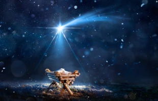 Imagen referencial. Crédito: Romolo Tavani / Shutterstock.