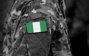 Bandera de Nigeria en el brazo de un soldado. Crédito: Bumble Dee/Shutterstock.