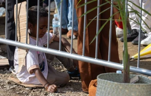 Un niño sentado en cartones presencia la Misa del Papa Francisco de este 10 de septiembre en Timor Oriental Crédito: Daniel Ibáñez/ EWTN News