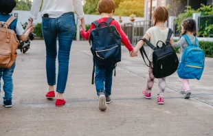 Imagen referencial. Crédito: Shutterstock