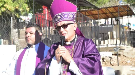 El Papa Francisco nombra a nuevo Obispo de San Juan de los Lagos