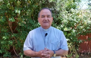 Mons. Julio Larrondo Yáñez Crédito: Captura de YouTube/Iglesia Católica en Chile
