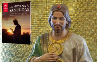Imagen de San Judas Tadeo. Crédito: EWTN / Shutterstock