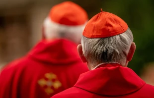 Cardenales participan en la quinta Misa de Novendiales del Papa Francisco el 30 de abril de 2025, en la Basílica de San Pedro del Vaticano. Crédito: Daniel Ibañez/EWTN News.
