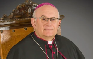 Mons. Ángel Fernández Collado, Obispo emérito de Albacete (España). Crédito: Diócesis de Albacete.
