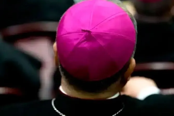 Denuncian campaña que suplantaba a los obispos y relacionaba aborto y abusos en la Iglesia