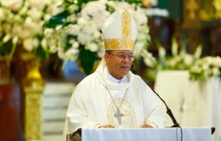 Mons. Faustino Burgos Brisman, obispo electo de Baní en República Dominicana. Crédito: CED
