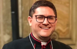 Mons. Cristián Castro Toovey. Crédito: CECh.