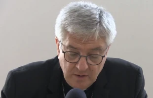 Mons. Marc Aillet, Obispo de Bayona. Crédito: Diócesis de Bayona.