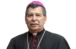 Mons. Ramón Alberto Rolón Güepsa, Obispo electo de Chiquinquirá, la diócesis de la Patrona de Colombia. Crédito: CEC.