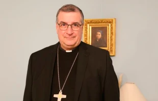 Obispo Jean-Marc Micas de Tarbes y Lourdes. Crédito: Courtney Mares/CNA