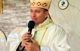 El Obispo de Palmira (Colombia), Mons. Rodrigo Gallego. Crédito: Diócesis de Palmira.