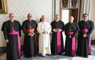 El Papa León XIV recibió en el Vaticano al Comité Permanente de la Conferencia Episcopal de Chile (CECh) Crédito: Conferencia Episcopal de Chile